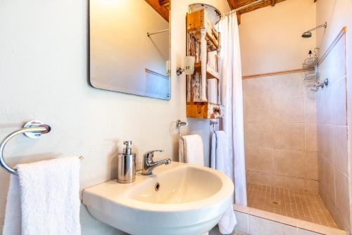 La salle de bains est pourvue d'un lavabo et d'une douche. dans l'établissement Elfen Cottage, à Prince Albert