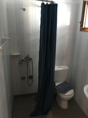 a bathroom with a shower curtain and a toilet at Manias Apartments in Kos