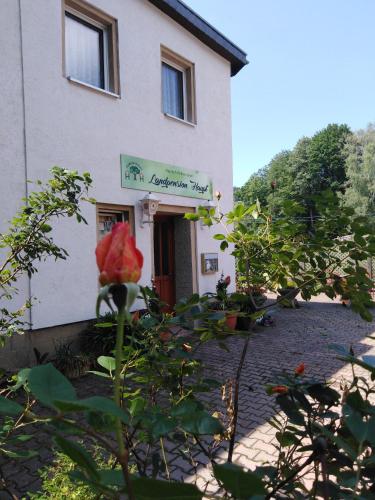 a building with a flower in front of it at Landpension Haupt in Sebnitz