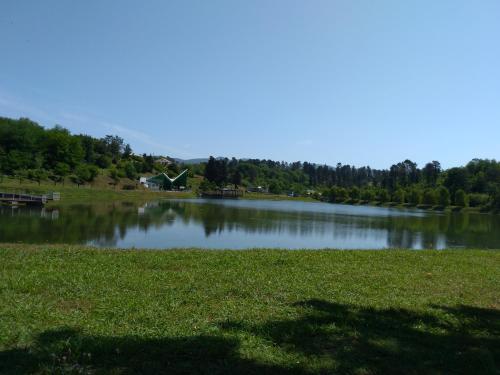 a large lake in a field with trees in the background at Lakeside Green Balcony Home in Tskaltubo