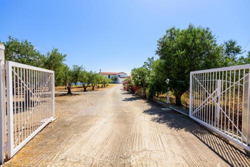 Φωτογραφία από το άλμπουμ του Finisia House στην Ελιά Λακωνίας