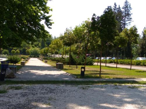 a path in a park with trees and grass at Lakeside Green Balcony Home in Tskaltubo