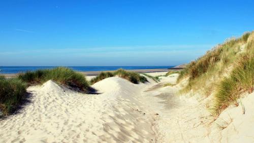 a path through the sand dunes at the beach at Familie Vakantiewoning Burgh-Haamstede in Burgh Haamstede