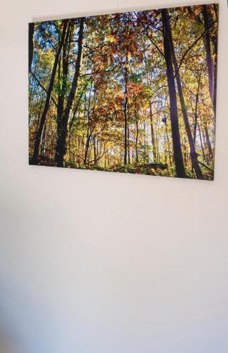Fotografie z fotogalerie ubytování Aquarand v destinaci Hofstade