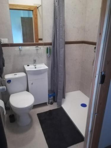 a bathroom with a toilet and a shower and a sink at Pensjonat Przy Stajni in Kierzkowo