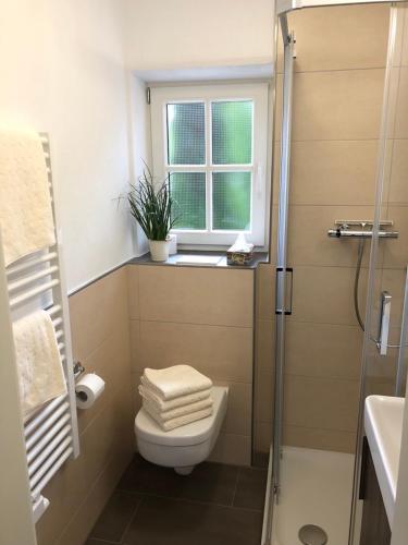 a bathroom with a toilet and a window at Am Sonneneck - Wohnung 1 in Ruhpolding
