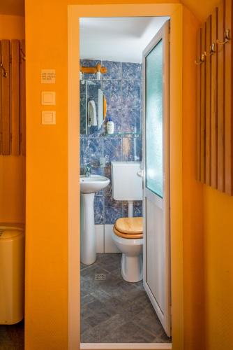 a bathroom with a toilet and a sink at Hotel Plutitor Kingfisher in Uzlina