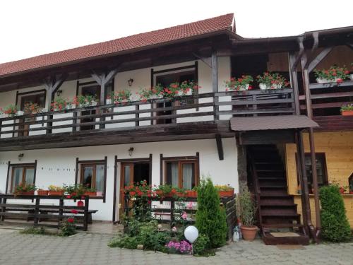 un bâtiment avec des boîtes de fleurs sur les balcons dans l'établissement Pensiunea Liana, à Nemşa