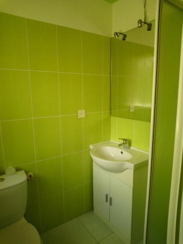 La salle de bains verte est pourvue d'un lavabo et de toilettes. dans l'établissement Au Paradis des oiseaux, à Rumilly-lès-Vaudes
