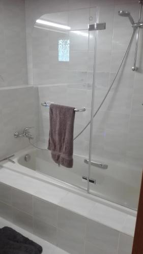 a bathroom with a shower and a towel on a tub at Ferienwohnung nahe Ulm/Laupheim in Laupheim