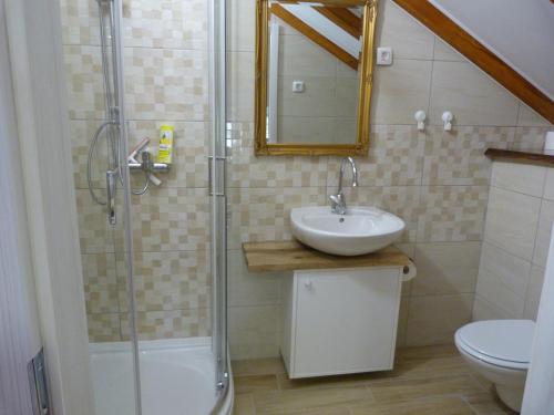 a bathroom with a sink and a shower and a toilet at HišaŠmihelka in Kobarid