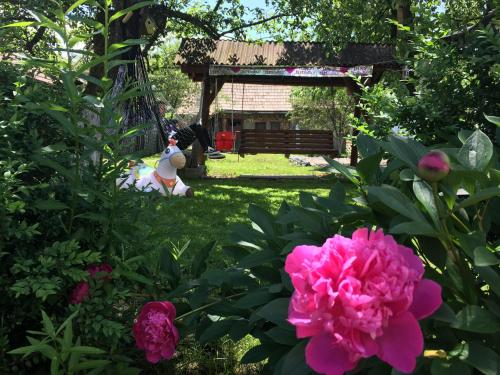 a park with a bench and pink flowers at Casa ERNST in Moieciu de Jos