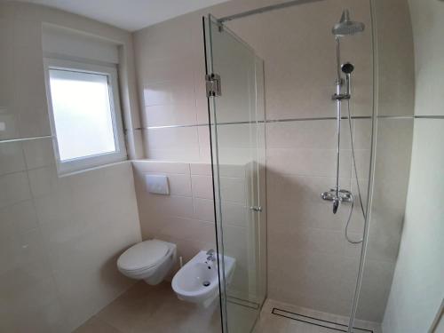 a bathroom with a toilet and a glass shower at Apartman Ivana in Porat