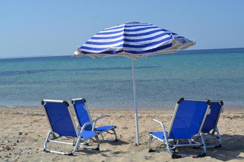 Φυσικό τοπίο κοντά σε αυτό το διαμέρισμα