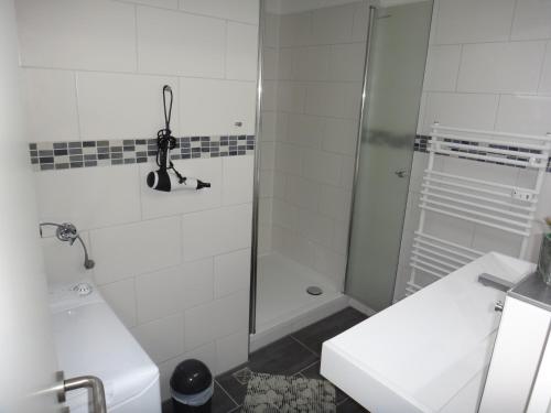 ein weißes Bad mit einer Dusche und einem WC in der Unterkunft Hahnenklee Ferienpark 6-244 in Goslar