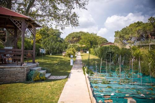 a garden with a pond with aquatic plants at Estate Irene in Alexandroupoli