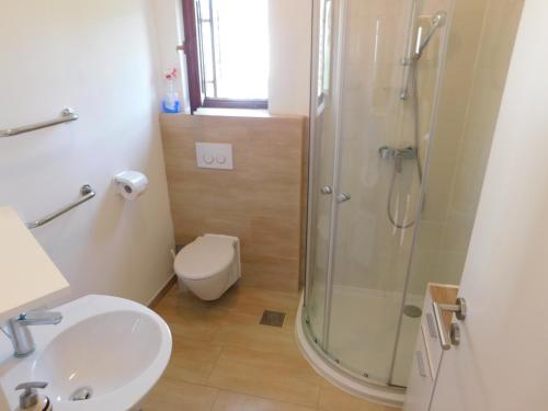a bathroom with a shower and a toilet and a sink at Apartment Novigrad Holiday in Novigrad Dalmatia
