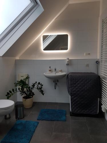 a bathroom with a sink and a toilet and a mirror at Appartment Rheinaue in Duisburg