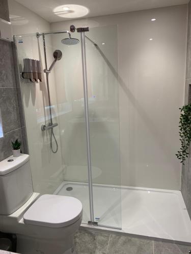 a bathroom with a shower with a toilet and a sink at Oxford Studios in Kidlington