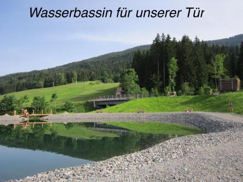 a view of a lake with a mountain in the background at Studio Holunder Weissbriach in Weissbriach