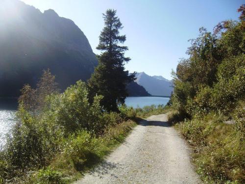 a dirt road next to a lake with a tree at Landhaus Tirol in Zellberg