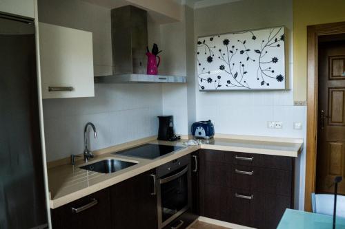 una cucina con lavandino e piano di lavoro di EDIFICIO CINE MON a Burela de Cabo