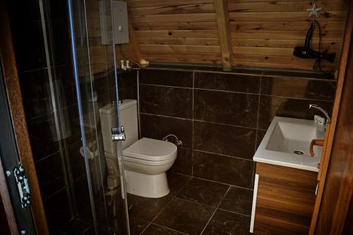 a small bathroom with a toilet and a sink at FOGA BUNGALOV in Çamlıhemşin