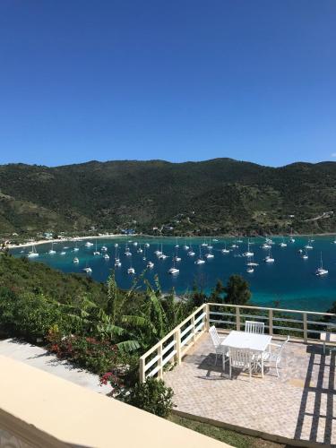 a view of a harbor with boats in the water at Ocean View Villas in Jost Van Dyke
