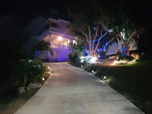 a driveway leading to a house at night at Ocean View Villas in Jost Van Dyke