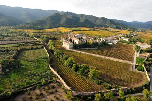 an aerial view of a estate in a vineyard at Hostatgeria de Poblet in Poblet