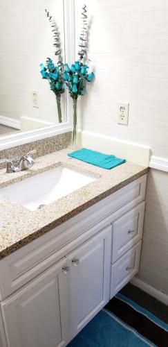 a bathroom counter with a sink and a vase of flowers at Cozy Condo in Houston