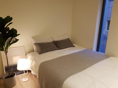 a bedroom with a bed and a plant and a lamp at DW STAY HONGDAE in Seoul