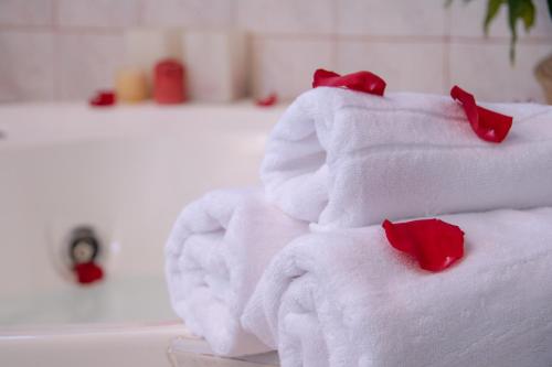 Galeriebild der Unterkunft Hotel Casa Marron in Villarrica