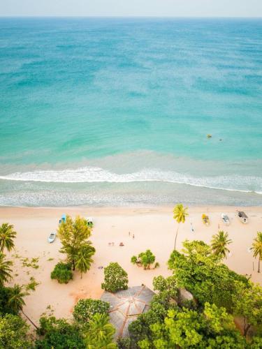 an aerial view of a beach with palm trees and the ocean at Moon Isle Beach Bungalow in Nilaveli