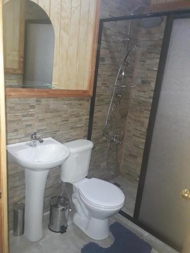 Gallery image of Cabaña Trasmahue in Villarrica
