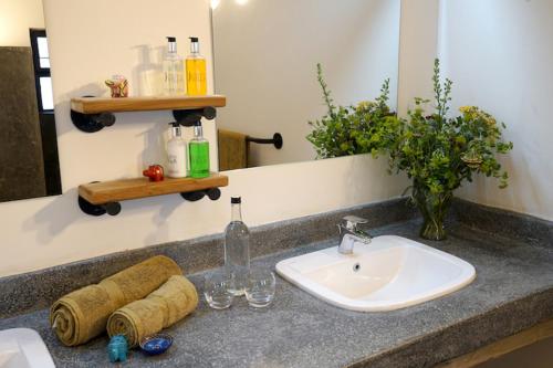 a bathroom counter with a sink and a mirror at Arusha Villa Karamu Coffee Estate in Usa River