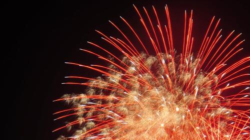 a palm tree with fireworks in the sky at Blueberry Pension Madarao in Iiyama