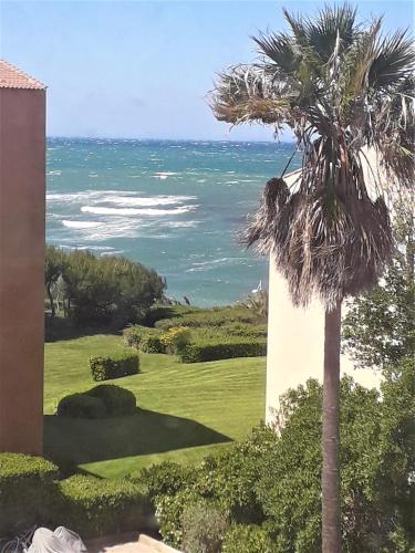 a palm tree in front of the ocean at Domaine de La Coudouliere, Vue Mer, Plage, Piscine et Parc in Six-Fours-les-Plages