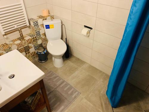 a bathroom with a white toilet and a sink at Casa "La Moara din Grădină" in Eftimie Murgu