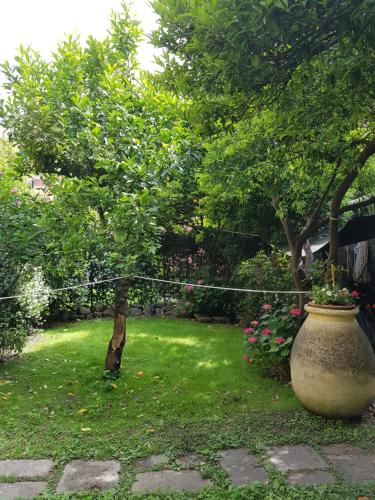 a garden with a tree and a vase in the grass at Albergo Lungomare in Bonassola