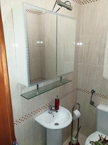 a bathroom with a sink and a mirror at D&M APARTMAN 3 in Selce