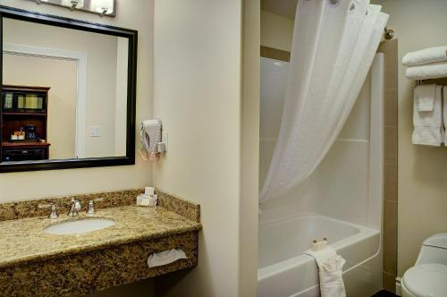 La salle de bains est pourvue d'un lavabo, d'une baignoire et d'un miroir. dans l'établissement Chateau Nova Yellowhead, à Edmonton