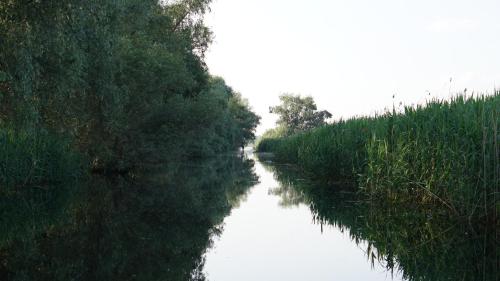 Φυσικό τοπίο κοντά σε αυτός ο ξενώνας