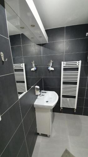 a bathroom with a sink and a mirror at Small Apartments Denisa Business in Brno