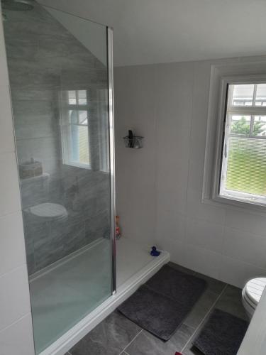 a bathroom with a shower with a toilet and a window at Old Coach House in Birchington