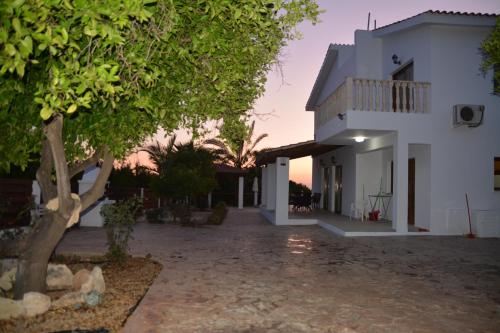 a white house with a tree in front of it at VILLA LAMBRIANA in Peyia
