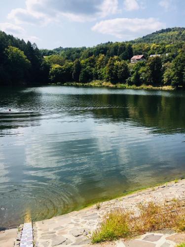 a view of a lake with a house in the distance at Grand Spa Holiday Home in Sklené Teplice