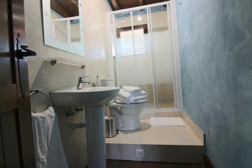 un baño con lavabo e inodoro en El Patio de Fuenteuso, en Villosilla de la Vega