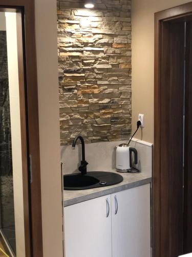 eine Küche mit einem Waschbecken und einer Steinmauer in der Unterkunft Komfortowe Apartamenty in Okuninka