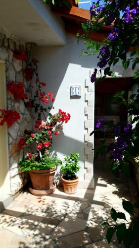 two pots of flowers on the side of a building at Apartments Mare in Hvar